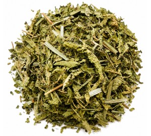 Mint Verbena
