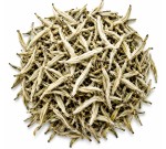 Silver Needle
