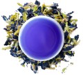 kolor-naparu-klitorii-ternatenskiej-kwiat-blue-butterfly-pea-leo-tea.jpg