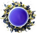 klitoria-ternatenska-kolor-naparu-leo-tea.jpg