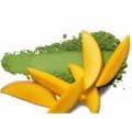 japonska-matcha-o-smaku-mango-prawdziwa-mangomatcha.jpg