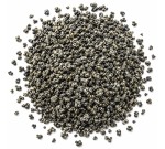 Gunpowder