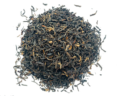 Odkryj Różnorodność Rodzajów Herbaty LEO TEA
